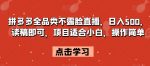 拼多多全品类不露脸直播，日入500，读稿即可，项目适合小白，操作简单【揭秘】-网创指引人