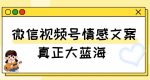 视频号情感文案，真正大蓝海，简单操作，新手小白轻松上手（教程+素材）【揭秘】-网创指引人