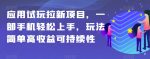 应用试玩拉新项目，一部手机轻松上手，玩法简单高收益可持续性【揭秘】-网创指引人