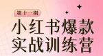 小红书博主爆款训练营第11期，手把手教你从0-1做小红书，从定位到起号到变现-网创指引人