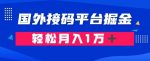 通过国外接码平台掘金：成本1.3，利润10＋，轻松月入1万＋【揭秘】-网创指引人