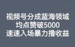 视频号分成蓝海领域，均点赞破5000，速速入场暴力撸收益-网创指引人