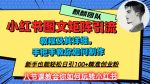 2023年最强小红书图文矩阵玩法，新手小白也能轻松日引100+精准创业粉，纯实操教学，不容错过！-网创指引人