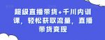 超级直播带货+千川内训课，轻松获取流量，直播带货变现-网创指引人