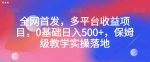 全网首发，多平台收益项目，0基础日入500+，保姆级教学实操落地【揭秘】-网创指引人