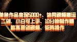 单条作品变现5000+、外网视频搬运二创，小白可上手，10分钟制作爆款高原创视频，矩阵操作【揭秘】-网创指引人