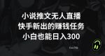 小说推文无人直播，快手新出的赚钱任务，小白也能日入300+【揭秘】-网创指引人