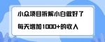 小众项目拆解，小白做好了每天可增加1000多的收入-网创指引人