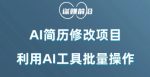 AI简历修改项目，利用AI工具批量化操作，小白轻松日200+-网创指引人