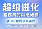 程序员的AI必修课，AIGC全栈项目实战（AI/前端/后端/测试/运维)-网创指引人