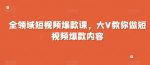 全领域短视频爆款课，全网两千万粉丝大V教你做短视频爆款内容-网创指引人