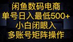 闲鱼数码电商，单号日入最低500+，小白闭眼入，多账号矩阵操作-网创指引人