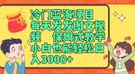 冷门蓝海项目，每天发发图文视频，保姆式教学，小白也能轻松日入3000+-网创指引人