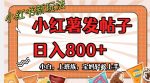 小红薯发日常帖子，日入800+小白专属项目可批量操作-网创指引人