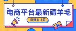 日赚300-500的电商平台薅羊毛新玩法，可重复操作，小白也可简单上手-网创指引人