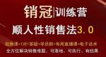 爆款！销冠训练营3.0之顺人性销售法，全方位解决销售难题、可落地、可执行、有结果-网创指引人