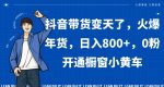 抖音带货变天了，火爆年货，日入800+，0粉开通橱窗小黄车【揭秘】-网创指引人