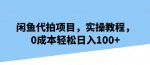 闲鱼代拍项目，实操教程，0成本轻松日入100+-网创指引人