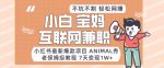 小红书最新爆款项目Animal秀，老保姆级教程，7天变现1w+【揭秘】-网创指引人