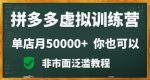 拼多多虚拟电商训练营月入30000+你也行，暴利稳定长久，副业首选-网创指引人