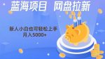 蓝海项目网盘拉新，新人小白也可操作，每月收入5000+-网创指引人