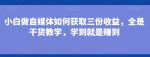 小白做自媒体如何获取三份收益，全是干货教学，学到就是赚到-网创指引人