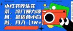 小红书养生花茶，冷门暴力项目，最适合小白做，月入【1W+】