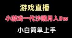 玩小游戏一代沙雕月入5w，爆裂变现，快速拿结果，高级保姆式教学【揭秘】-网创指引人