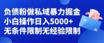 负债粉私域暴力掘金，小白操作入5000，无经验限制，无条件限制【揭秘】-网创指引人