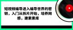 短视频编导进入编导世界的密钥，入门从拆片开始，培养网感，建素素库-网创指引人