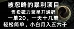 被忽略的暴利项目！售卖磁力聚星开通码，一单20，一天十几单，轻松月入五六千-网创指引人