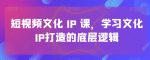 短视频文化IP课，学习文化IP打造的底层逻辑-网创指引人