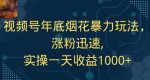 视频号年底烟花暴力玩法，涨粉迅速,实操一天收益1000+-网创指引人