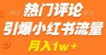 热门评论引爆小红书流量，作品制作简单，商单接到手软【揭秘】-网创指引人