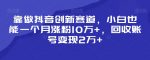 靠做抖音创新赛道，小白也能一个月涨粉10万+，回收账号变现2万+【揭秘】-网创指引人