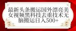 最新头条搬运国外漂亮美女视频黑科技去重技术无脑搬运日入500+【揭秘】-网创指引人