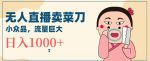 无人冷门品直播新玩法，通过卖菜刀日入1000+【揭秘】-网创指引人