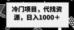 冷门项目，代找资源，日入1000＋-网创指引人