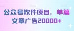 公众号软件项目，单篇文章广告20000+-网创指引人