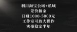 利用淘宝公域+私域差价掘金，日赚1000-5000元，工作室可放大操作，实操稳定半年【揭秘】-网创指引人