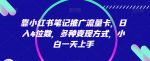 靠小红书笔记推广流量卡，日入4位数，多种变现方式，小白一天上手-网创指引人