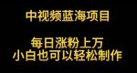 中视频蓝海项目，解读英雄人物生平，每日涨粉上万，小白也可以轻松制作，月入过万不是梦【揭秘】-网创指引人