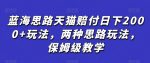 蓝海思路天猫赔付日下2000+玩法，两种思路玩法，保姆级教学【仅揭秘】-网创指引人