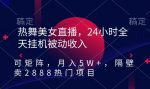 热舞美女直播，24小时全天挂机被动收入，可矩阵，月入5W+，隔壁卖2888热门项目【揭秘】-网创指引人