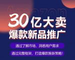 亚马逊·30亿大卖爆款新品推广，可复制、全程案例实操的爆款推新SOP-网创指引人