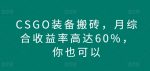 CSGO装备搬砖，月综合收益率高达60%，你也可以-网创指引人