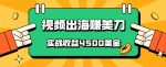 国内爆款视频出海赚美刀，实战收益4500美金，批量无脑搬运，无需经验直接上手-网创指引人