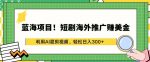 蓝海项目!短剧海外推广赚美金，利用AI混剪视频，轻松日入300+【揭秘】-网创指引人