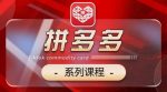 2024拼多多系列课，【基础】【运营】【活动】【推广】【玩法】5大模块-网创指引人