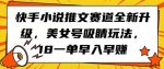 快手小说推文赛道全新升级，美女号吸睛玩法，18一单早入早赚-网创指引人